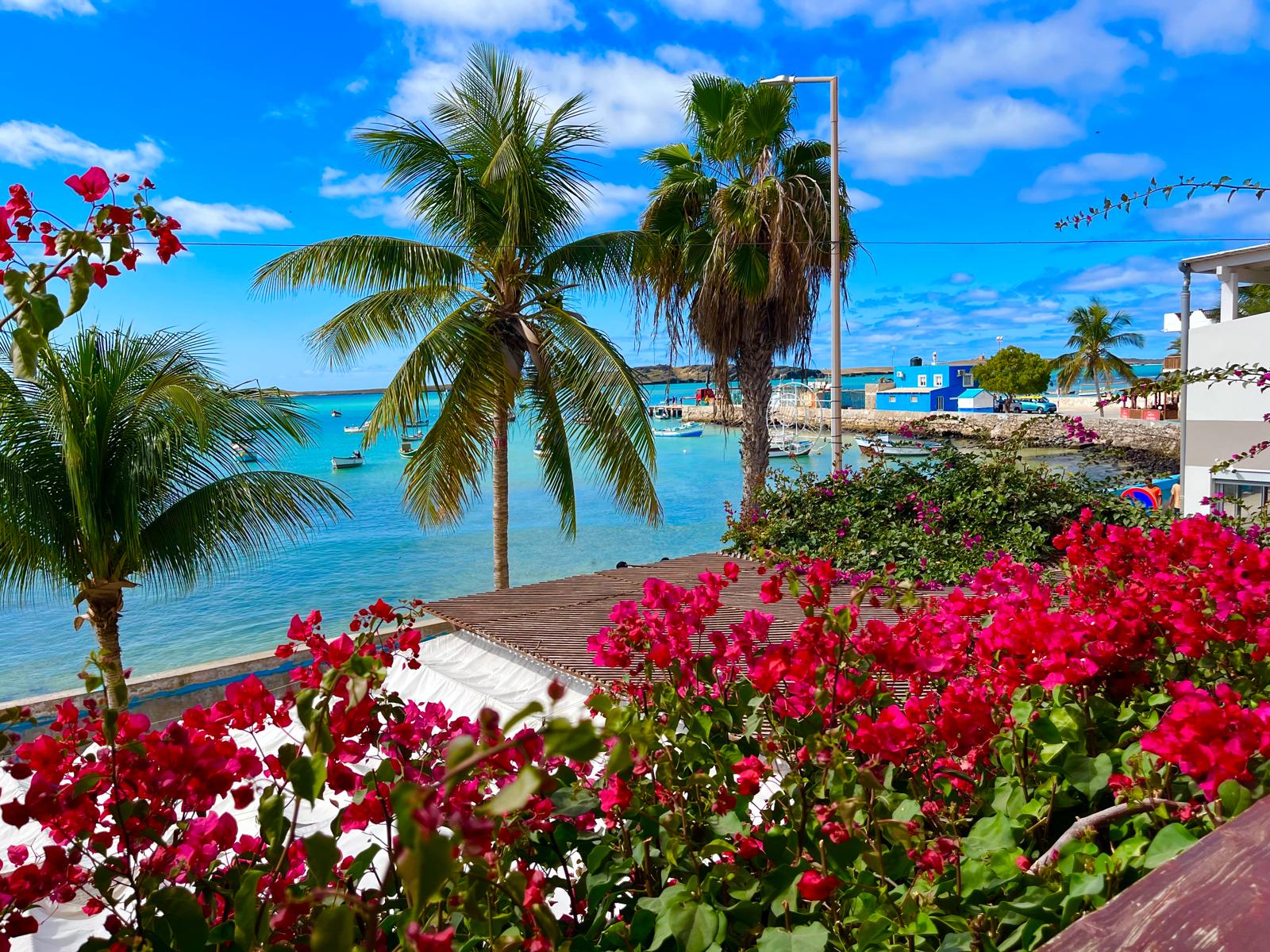Bougainvillea im Garten des Bowlavista-Restaurants in Sal Rei, Blick auf das Te Manche Restaurant und den Praia Diante
